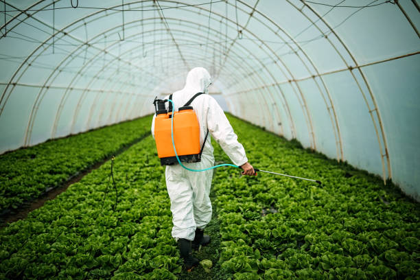 Best Best Pest Control Companies  in Milford, IA