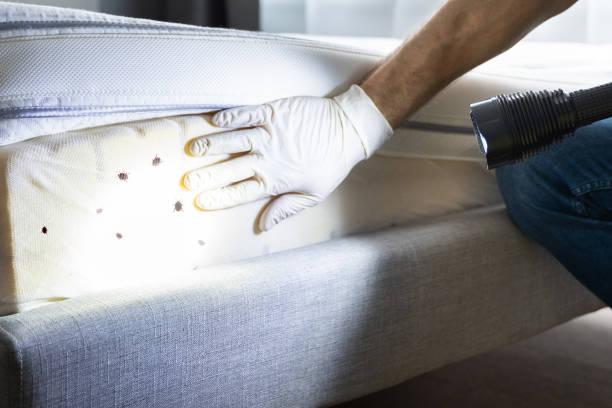 Best Affordable Pest Control Services  in Milford, IA