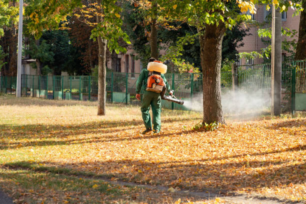 Best Exterminator Services  in Milford, IA