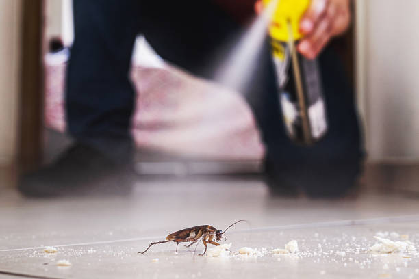 Best Best Pest Control Companies  in Milford, IA